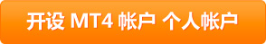 MT4（個人）口座開設
