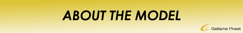 About the model